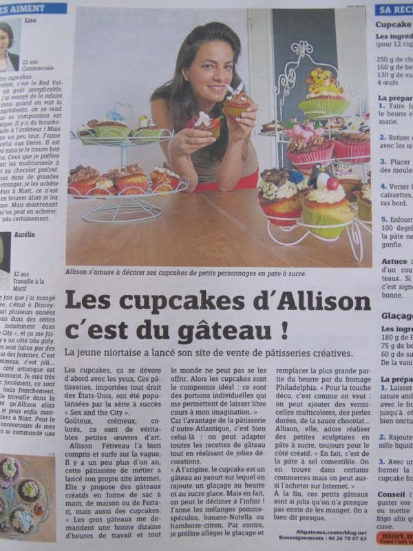 Article sur le journal NIORT MAVILLE